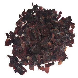 Alga Dulse
