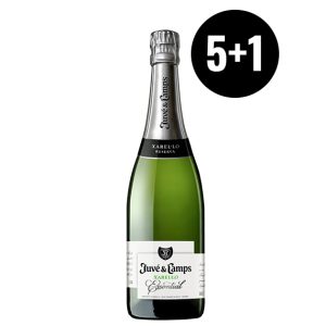 Caja Juve Y Camps Essential Xarello Brut Rva 5+1