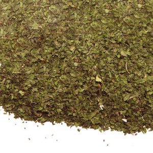 Cilantro hojas