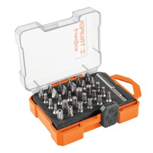Juego de 31 puntas mixtas largo 1″ estuche plástico, Expert