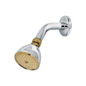 Regadera cónica 2-1/2″ cromo-oro brazo y chapetón acero
